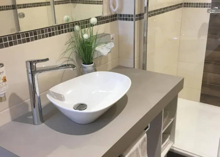 阿克真特科勒酒店 3* Gießen