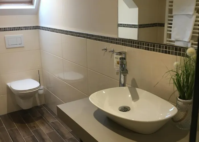 阿克真特科勒酒店 3* Gießen